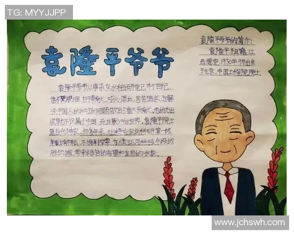 深度探讨杨军的乒乓球人生与奋斗历程的精彩故事